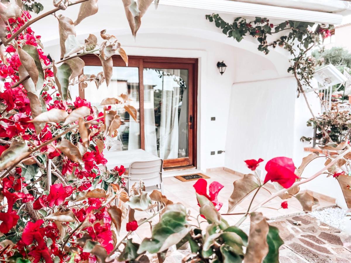 Holiday home Il Ciclamino Olbia